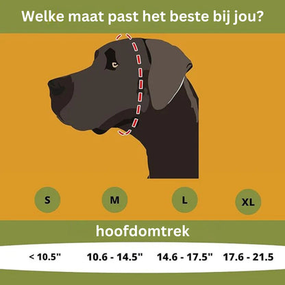 PawQuiet | Rust en Bescherming voor je Hond tijdens Vuurwerk